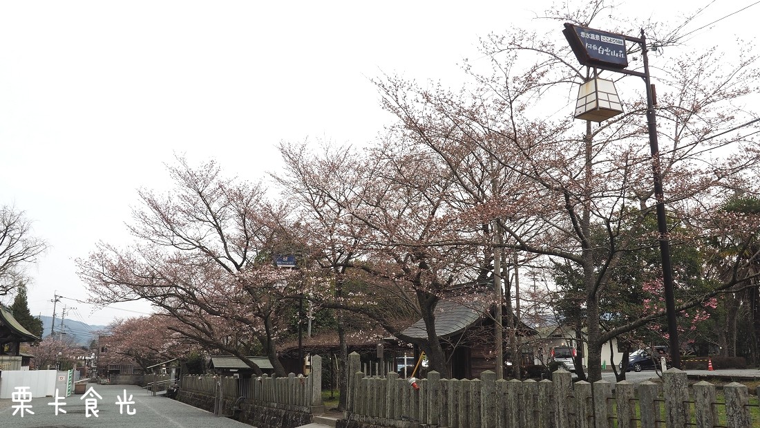 阿蘇神社 熊本大地震後的阿蘇神社阿蘇神社案內所 停車場 Rika 栗卡食光