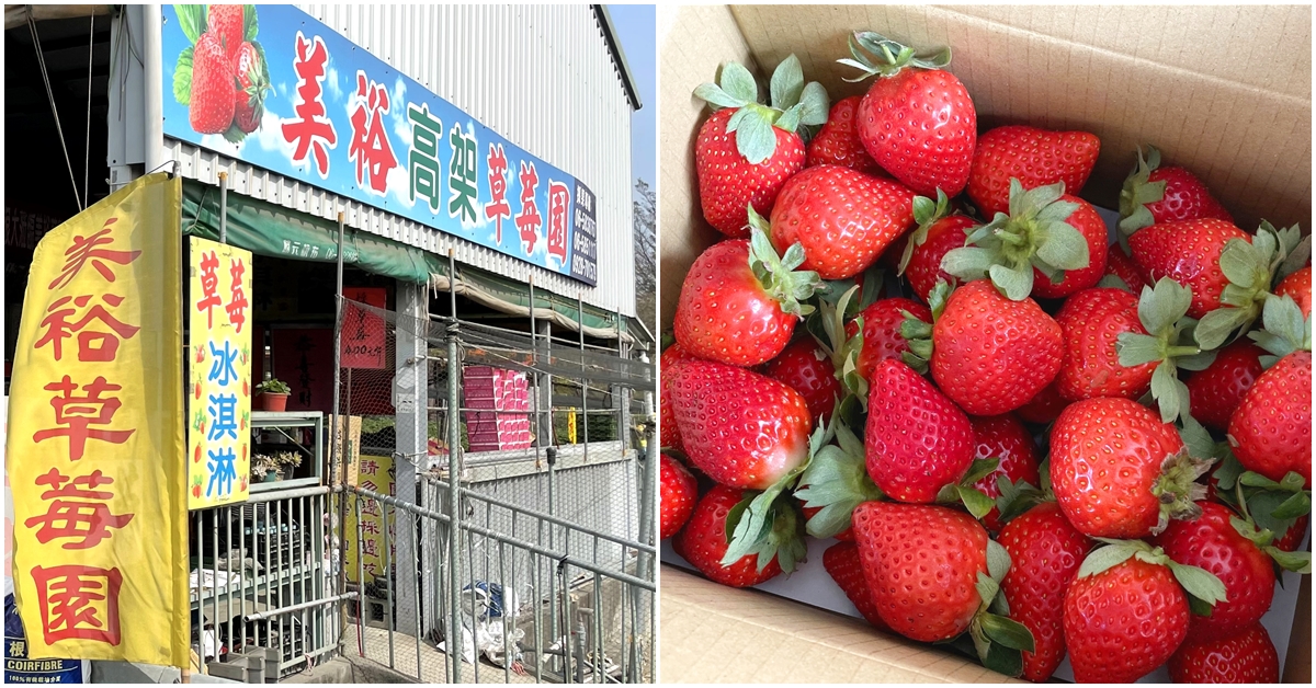 台南採草莓 | 善化 美裕高架草莓園 環境乾淨果況好!!還有草莓冰淇淋~