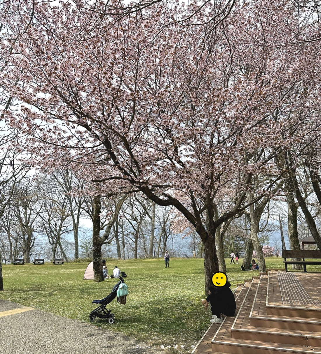 北海道 支芴湖 景點 必去 櫻花 美食 溫泉 住宿 