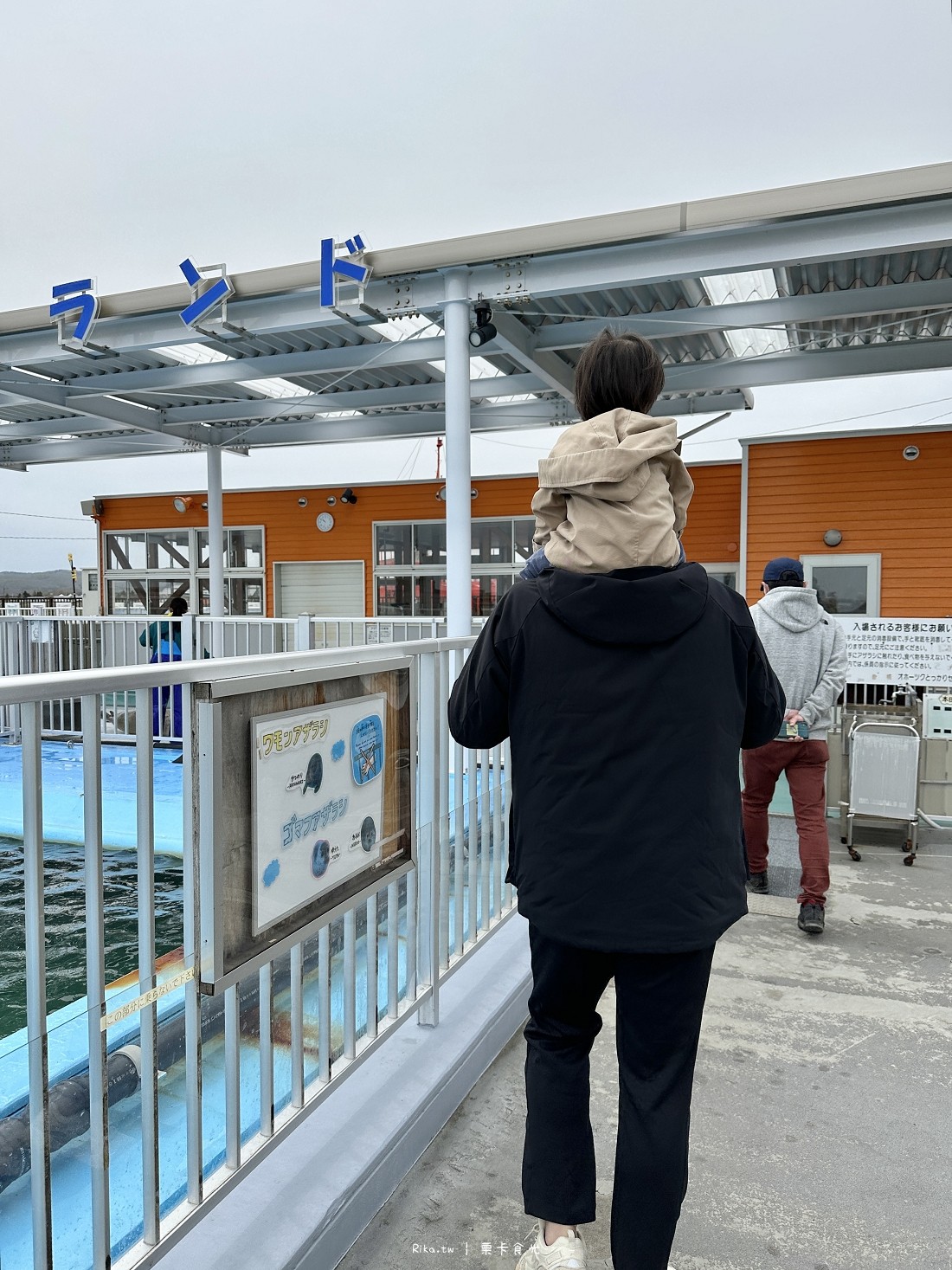 北海道 紋別 景點 海豹館 推薦 破冰船 鄂霍次克海豹中心