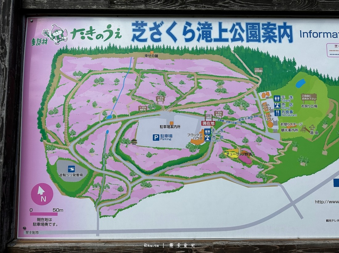 瀧上芝櫻公園 北海道 紋別 賞櫻 交通 花期 票價