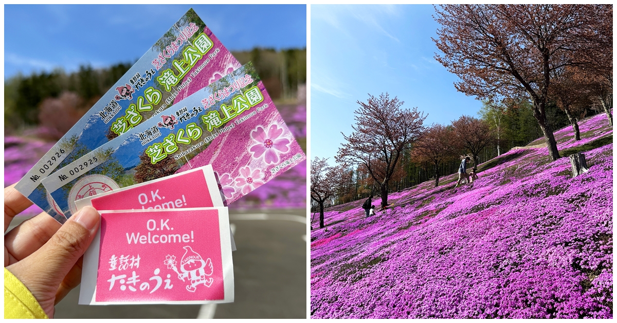 北海道 | 瀧上芝櫻公園 道東最大粉紅地毯 花期/交通/門票資訊